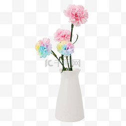 花瓶粉花图片_彩色康乃馨鲜花花瓶摆件