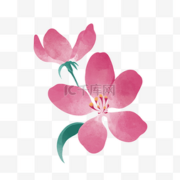 粉色水彩桃花图片_春季春天水彩植物花朵桃花