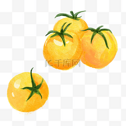 西红柿黄色图片_西红柿水彩蔬菜水果黄色