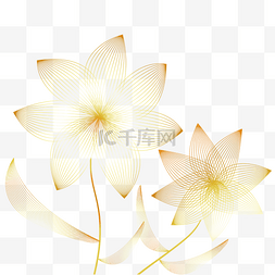 金色描线植物花朵