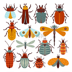蝴蝶图片_一套用甲虫和蝴蝶作画的插图. 可