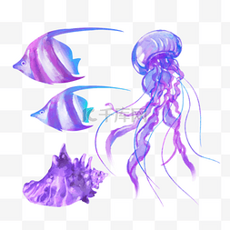 水彩海洋生物水母海螺