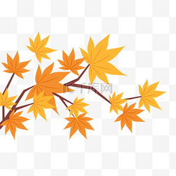 秋季树丛树叶枫树叶