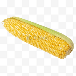 农作物黄玉米