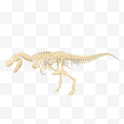 猛犸象化石图片_化石恐龙骨架