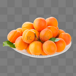 成熟的黄杏图片_黄杏新鲜水果