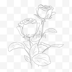 植物玫瑰花线稿