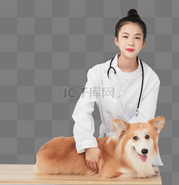 宠物医生给狗看病人物动物