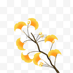 秋季银杏树枝