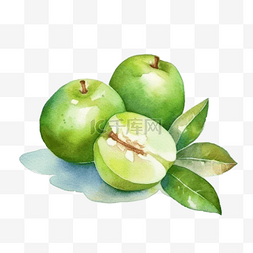 青苹果图片_卡通手绘水果青苹果
