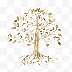 抽象树木树根大树树叶植物根系