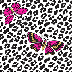 皮毛纹理图片_豹纹和蝴蝶。