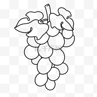 饱满葡萄剪贴画黑白