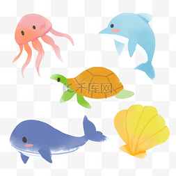 水母图片_海洋水母动物