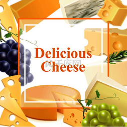 背景绿叶集图片_各种逼真的奶酪，带有葡萄枝、绿