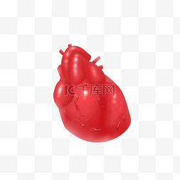 脏器医疗图片_人体器官心脏