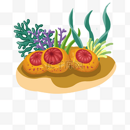 水果厨房背景图片_植物海洋静物插画