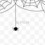 万圣节黑蜘蛛网蜘蛛