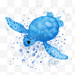 海龟动物蓝色水彩