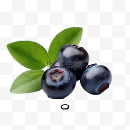 卡通蓝莓水果图片_卡通手绘水果蓝莓