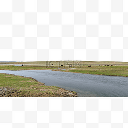 草原河流图片_草原河流牛群夏季