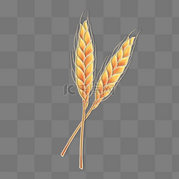 大米主食图片_立体金边浮雕植物麦穗
