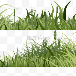狗尾草春季复活节绿色草地