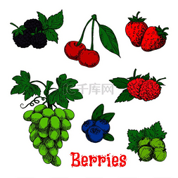 蓝莓草莓树莓图片_新鲜的一束甜美多汁的绿葡萄、红
