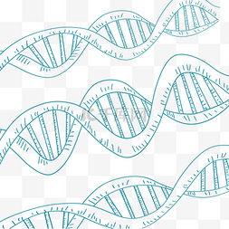 dna螺旋线图片_DNA螺旋技术背景