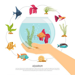 透明液体平面图片_手工制作水族馆背景各种鱼类和海