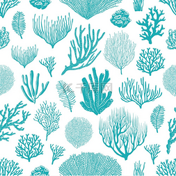 海藻图案图片_海珊瑚、海绵和海藻的无缝图案。