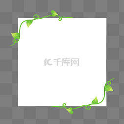 绿色叶子标题框图片_春季春天绿色藤蔓纸张叶子标题栏