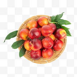 两颗油桃图片_夏季水果红色油桃