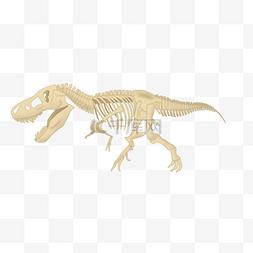 猛犸象化石图片_恐龙骨架