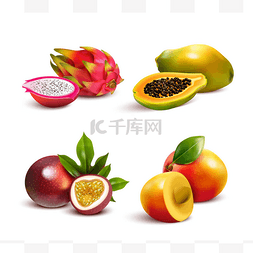 水果专卖图片_成熟的热带水果套