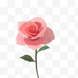 浪漫玫瑰花素材图片_520玫瑰花花束