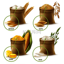 大米玉米图片_一套农业谷物，包括装有小麦粉、