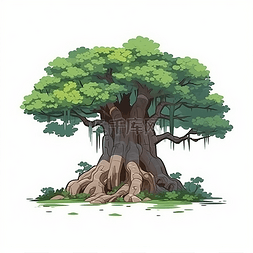 一颗古老的皂角树