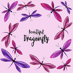 飞行背景图片_飞行背景中色彩鲜艳的蜻蜓的矢量