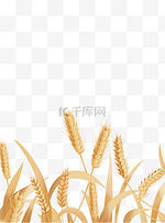仿真金色小麦麦穗谷物丰收