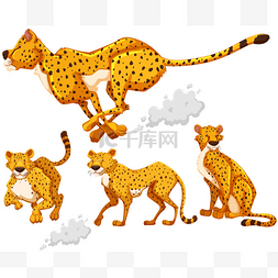 老虎卡通动物坐着图片_猎豹在四个不同的操作