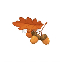 橡树叶带橡子秋季和秋季矢量隔离