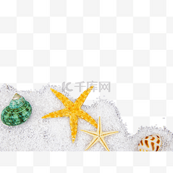 海边海星贝壳图片_白色沙子和贝壳