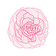 线性玫瑰图美丽的装饰风格的夏季花朵线性玫瑰图