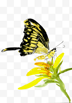 水墨中国画图片素材图片_黄色花与蝴蝶