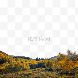 内蒙古山区秋色彩林