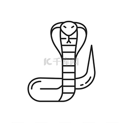 泰国蛇孤立的细线图标来自泰国或