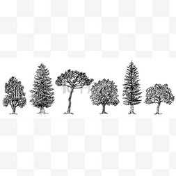 手绘卡通树木矢量图片_收集不同种类的树木。矢量插图孤