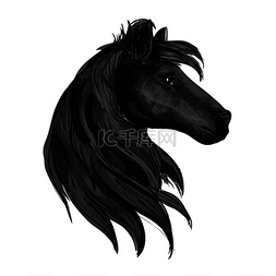 与纯种种马的黑马头标志。