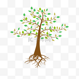 画大树图片_抽象树木树根树叶大树植物叶子
